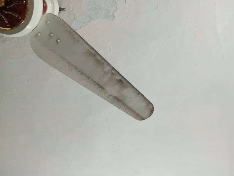 Ceiling fan 7