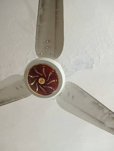 Ceiling fan 8