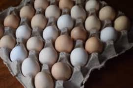 Desi fertile eggs RS 30