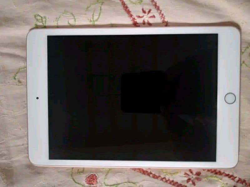 ipad mini 5 back change no exchange only sale 1