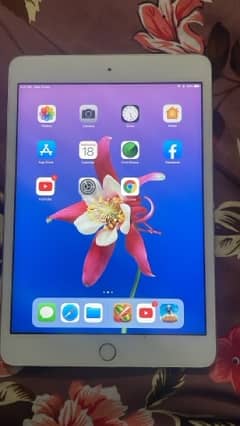 ipad mini 3 64 gb wifi & calluler spain import