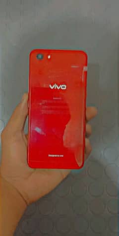 Vivo