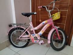 bicycle  only 5000