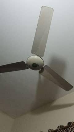 fan