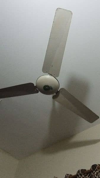 fan for sale 0