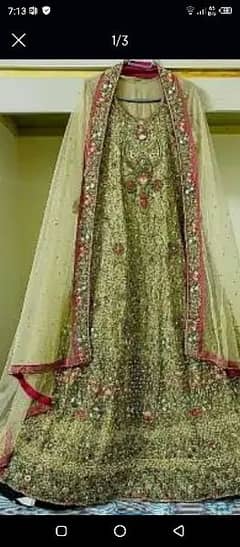 walima maxci