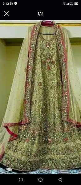 walima maxci 0