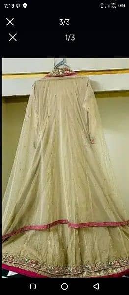 walima maxci 1