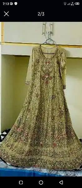 walima maxci 2