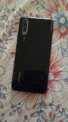 vivo