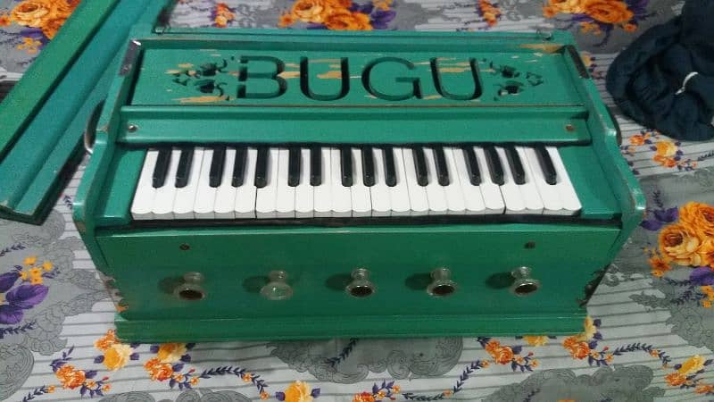 Indian harmonium 2