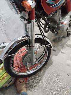 Honda 125 2024 03328646998