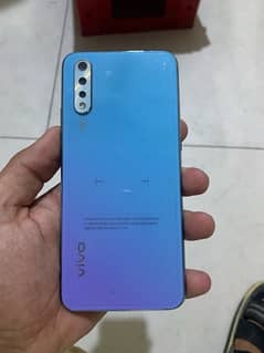 vivo