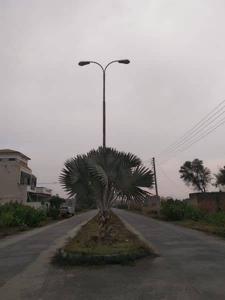 Street Light Poles | Tubular | Octagonal | Fancy | Lighting Poles 4