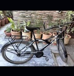 Bicycle for sale