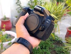 dslr Canon 80d (Professional Canon camera)