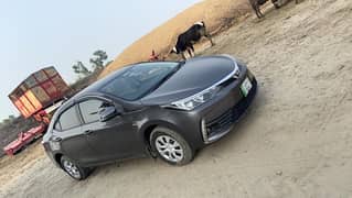 Toyota Corolla GLI 2019