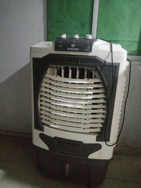 golden fuji air  cooler. 5