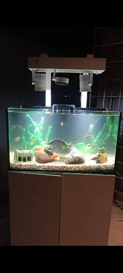 Fish Aquarium box