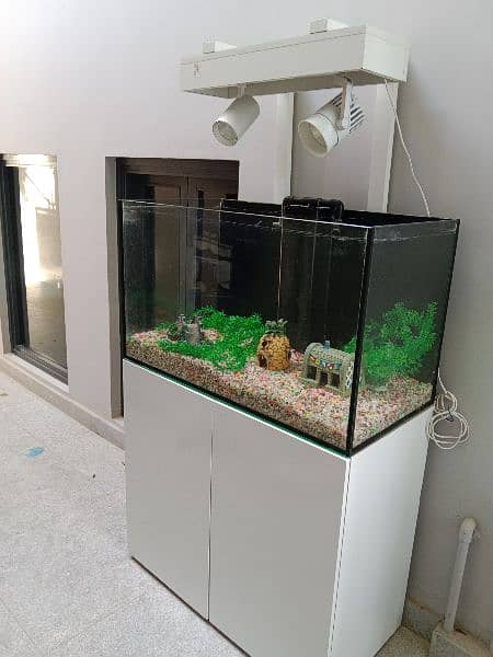 Fish Aquarium box 1