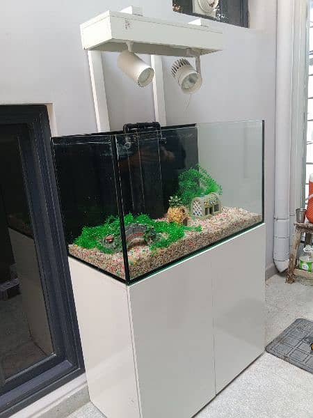 Fish Aquarium box 2