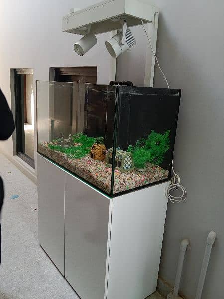 Fish Aquarium box 3