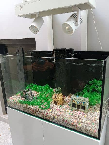 Fish Aquarium box 4