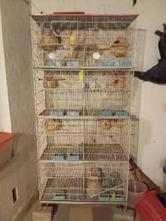 8 portion cage for sale with birds