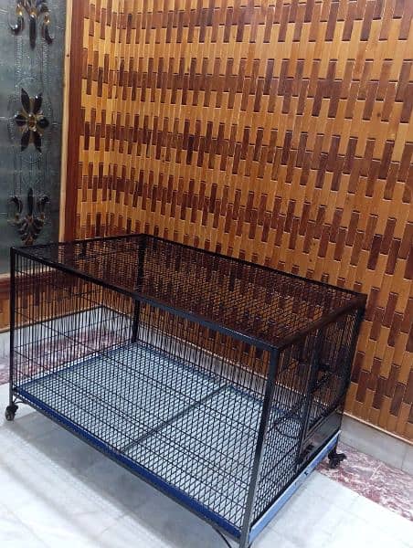 Kashmir raw parrot cage breeding pair cage 1