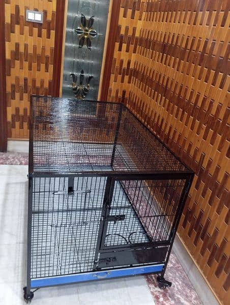 Kashmir raw parrot cage breeding pair cage 2