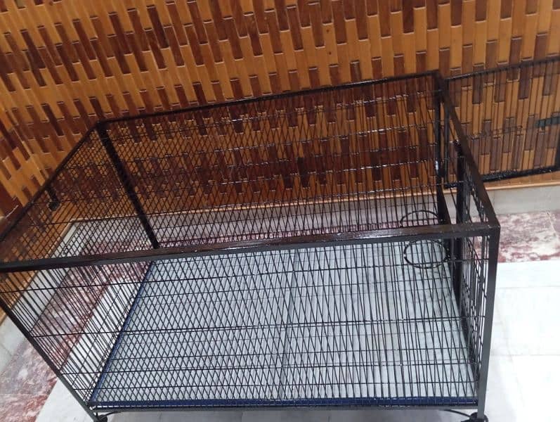 Kashmir raw parrot cage breeding pair cage 3