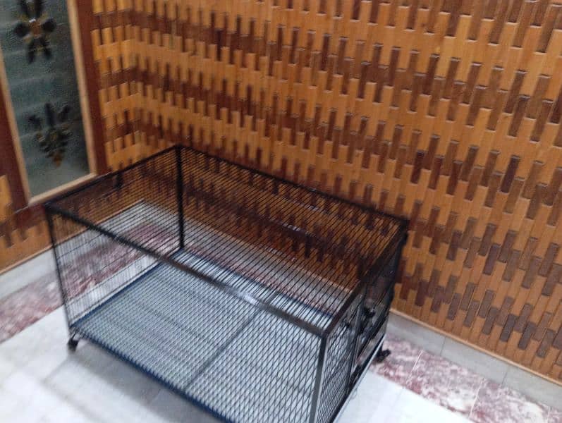 Kashmir raw parrot cage breeding pair cage 4