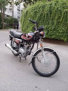 honda 125 23/24 model jest like APL FIRST handed 0