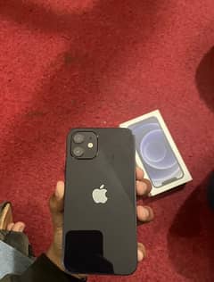 iphone 12 128 gb with box