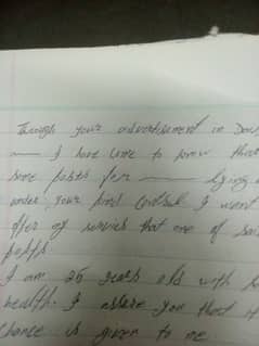 Assignment hand writting work 0