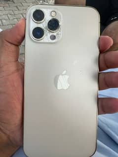 iphone 12 pro max pta approved