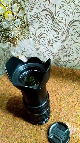 Canon 55-250mm STABLIZIER Zoom Lens 7