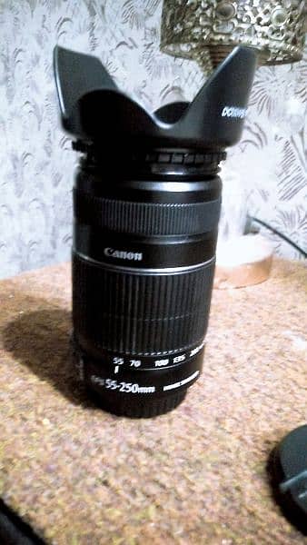 Canon 55-250mm STABLIZIER Zoom Lens 9