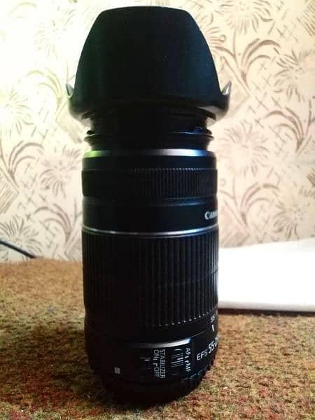 Canon 55-250mm STABLIZIER Zoom Lens 10