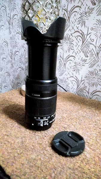 Canon 55-250mm STABLIZIER Zoom Lens 11