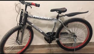 Phoenix Almost new 10/10 Fat Tyre Cycle