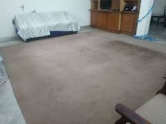 Used Carpet For Sale