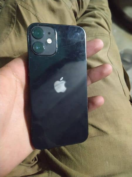 iPhone 12 Mini 0