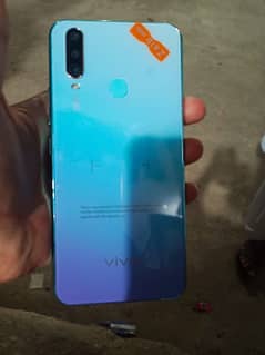 vivo