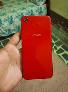 vivo