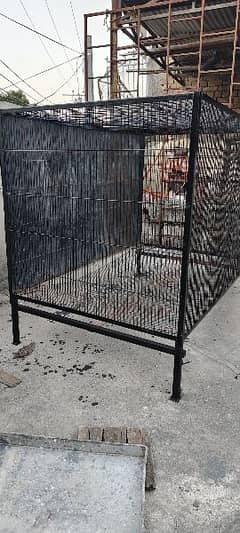 big parrots cage used