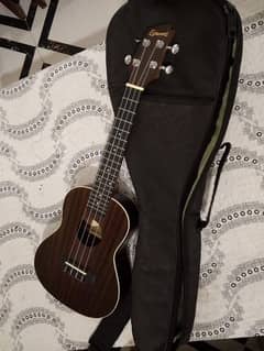 ukulele,bag