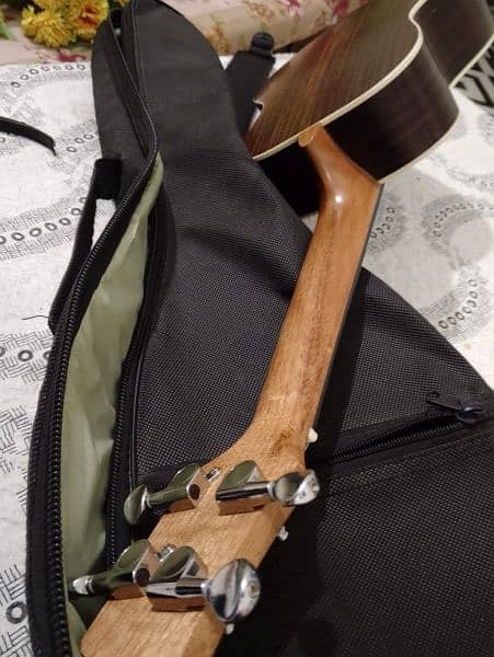 ukulele,bag and 2picks 2