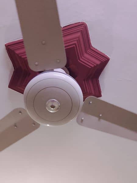 I am Selling my fan 1