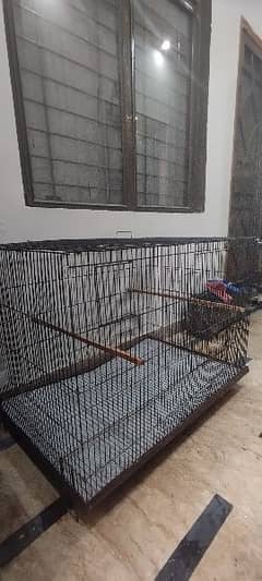 IRON CAGE FOR BIRDS